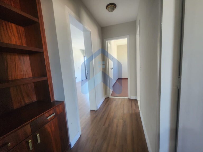 InShot_20250820_172122937