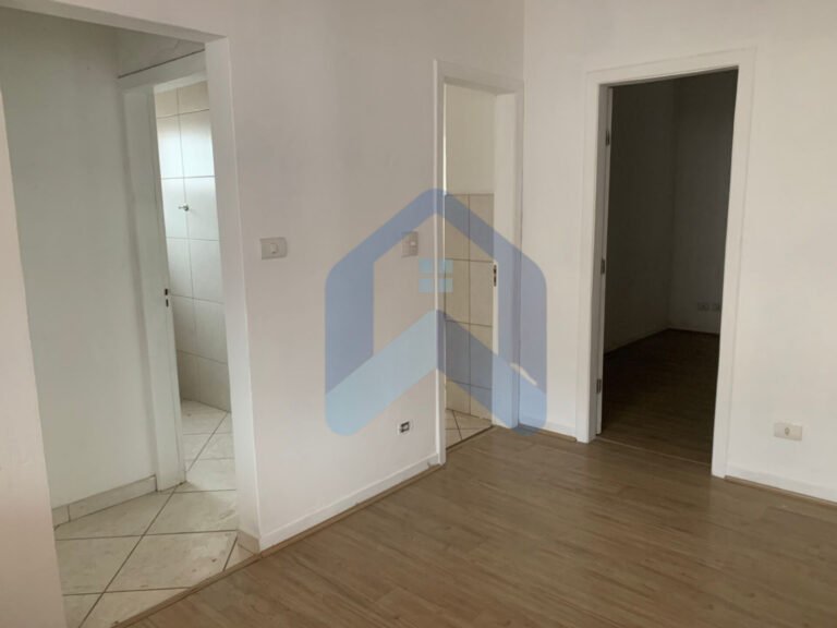 InShot_20250820_224126404