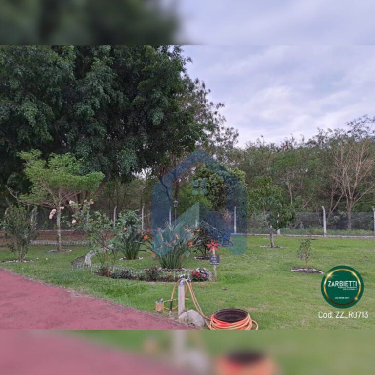 InShot_20250820_231336277