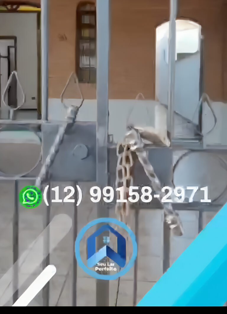 InShot_20250821_125634518