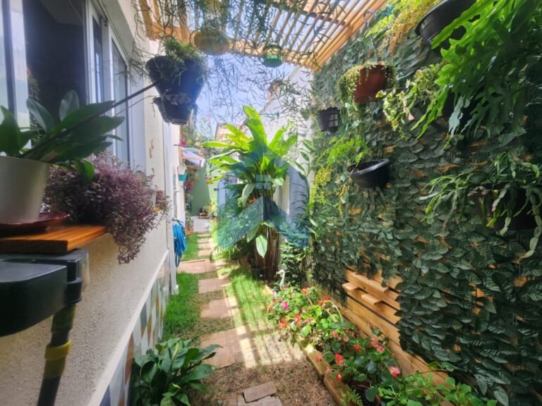 WhatsApp Image 2025-10-04 at 18.50.20 (3)