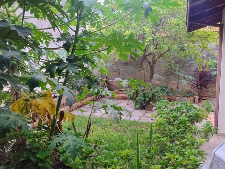 WhatsApp-Image-2025-04-13-at-20.27.11-3